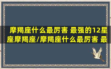 摩羯座什么最厉害 最强的12星座摩羯座/摩羯座什么最厉害 最强的12星座摩羯座-我的网站